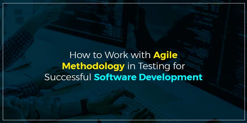 How to Work with Agile Methodology in Testing for Successful Software Development
