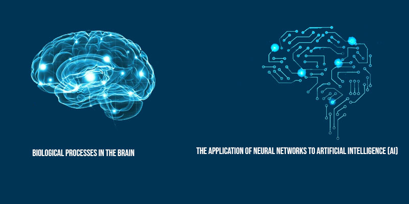 What is a Neural Network and How do Neural Networks Work